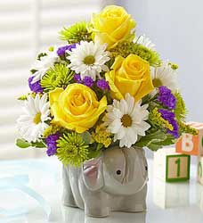 New Baby Boy Elephant Bouquet Flower Power, Florist Davenport FL